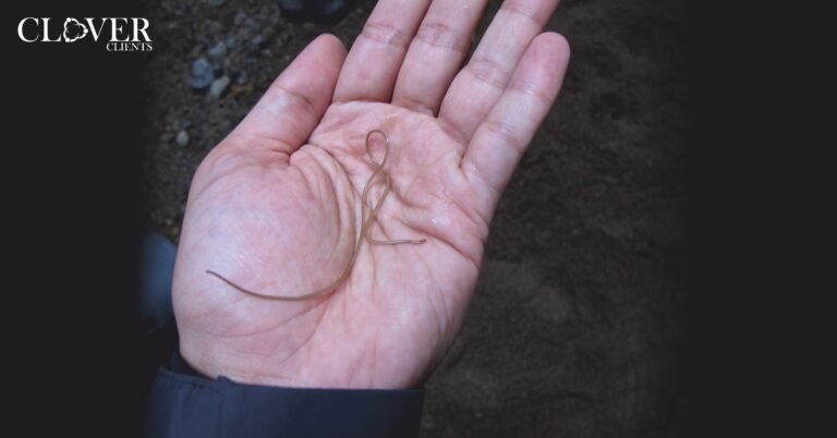 “Zombifying” Worms Mind Controls Victims With Missing Genes