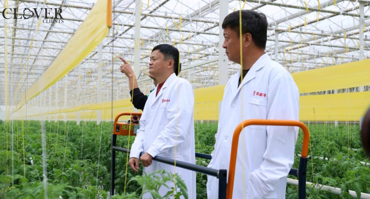 Jack Ma Returns With Investment In Fishery And Agriculture