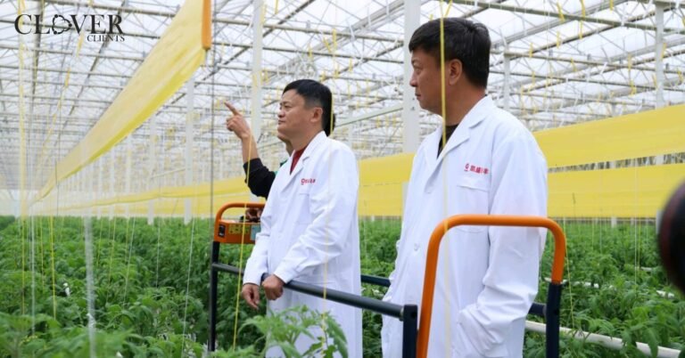 Jack Ma Returns With Investment In Fishery And Agriculture