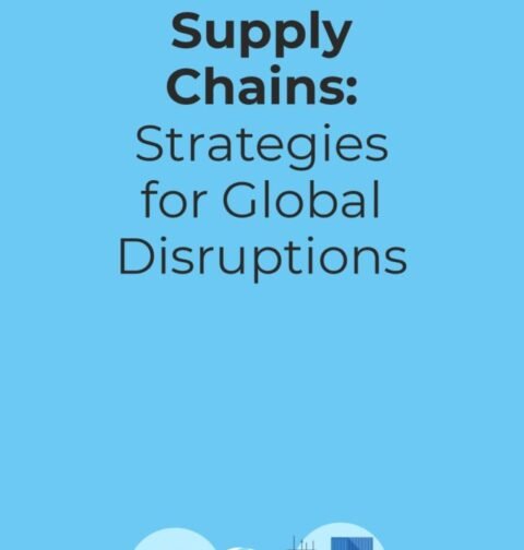 Strategies for Global Disruptions