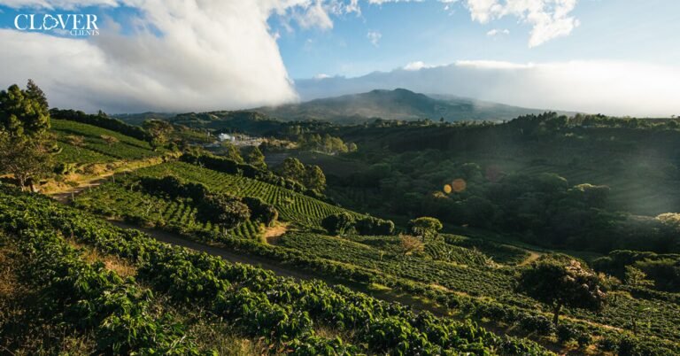 Starbucks Costa Rica