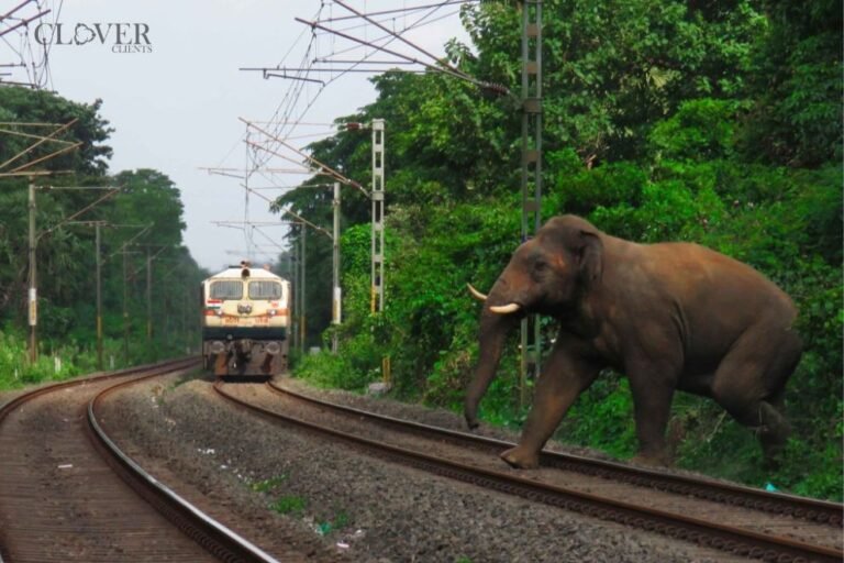 Gajraj System: AI-Powered Elephant Protection by Railways