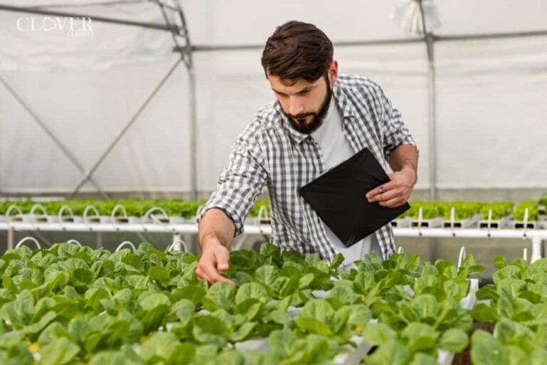 Polyhouse Farming