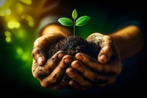Genuine Sustainability